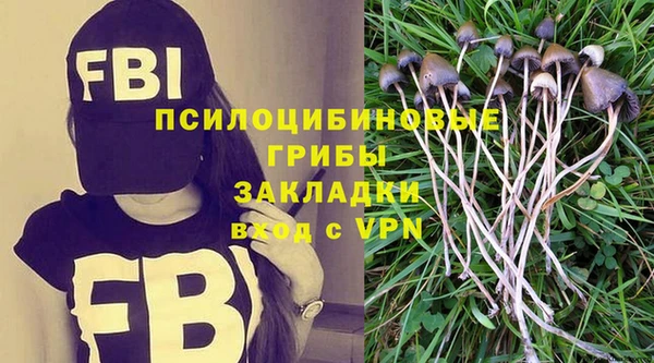 эйфоретик Богородск